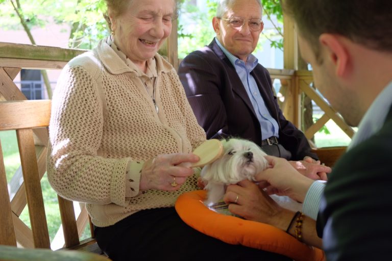 pet therapy