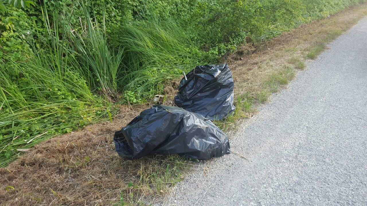 campagna rifiuti