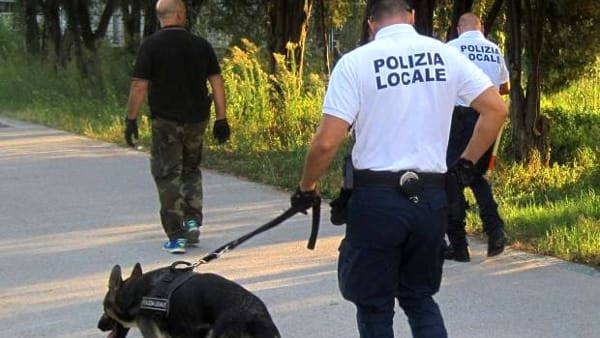 polizia municipale locale agenti vigili mestre parco bissuola cani unita cinofile-2