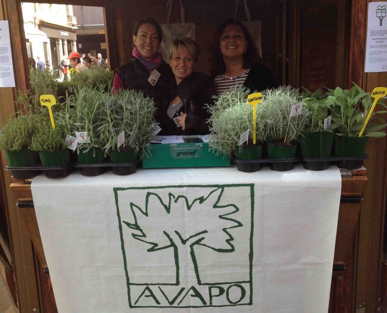 avapo venezia bis