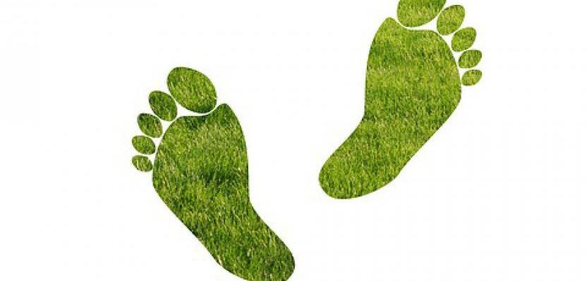 impronta ecologica