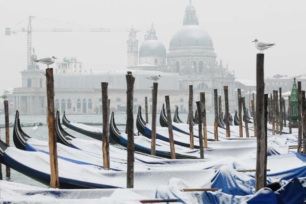 neve venezia