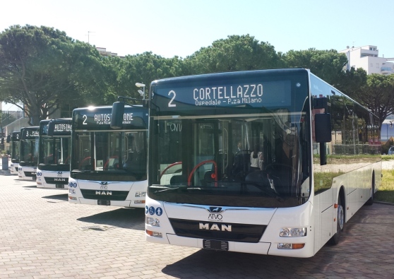 autobus atvo