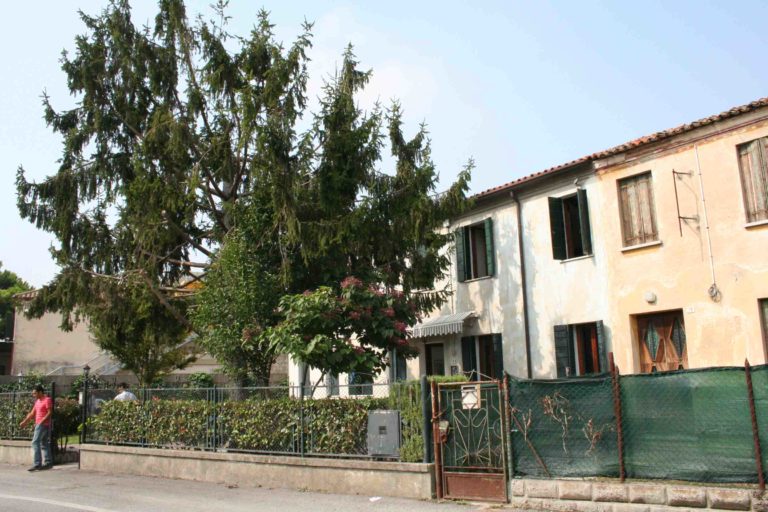 casa san raffaele mira caritas