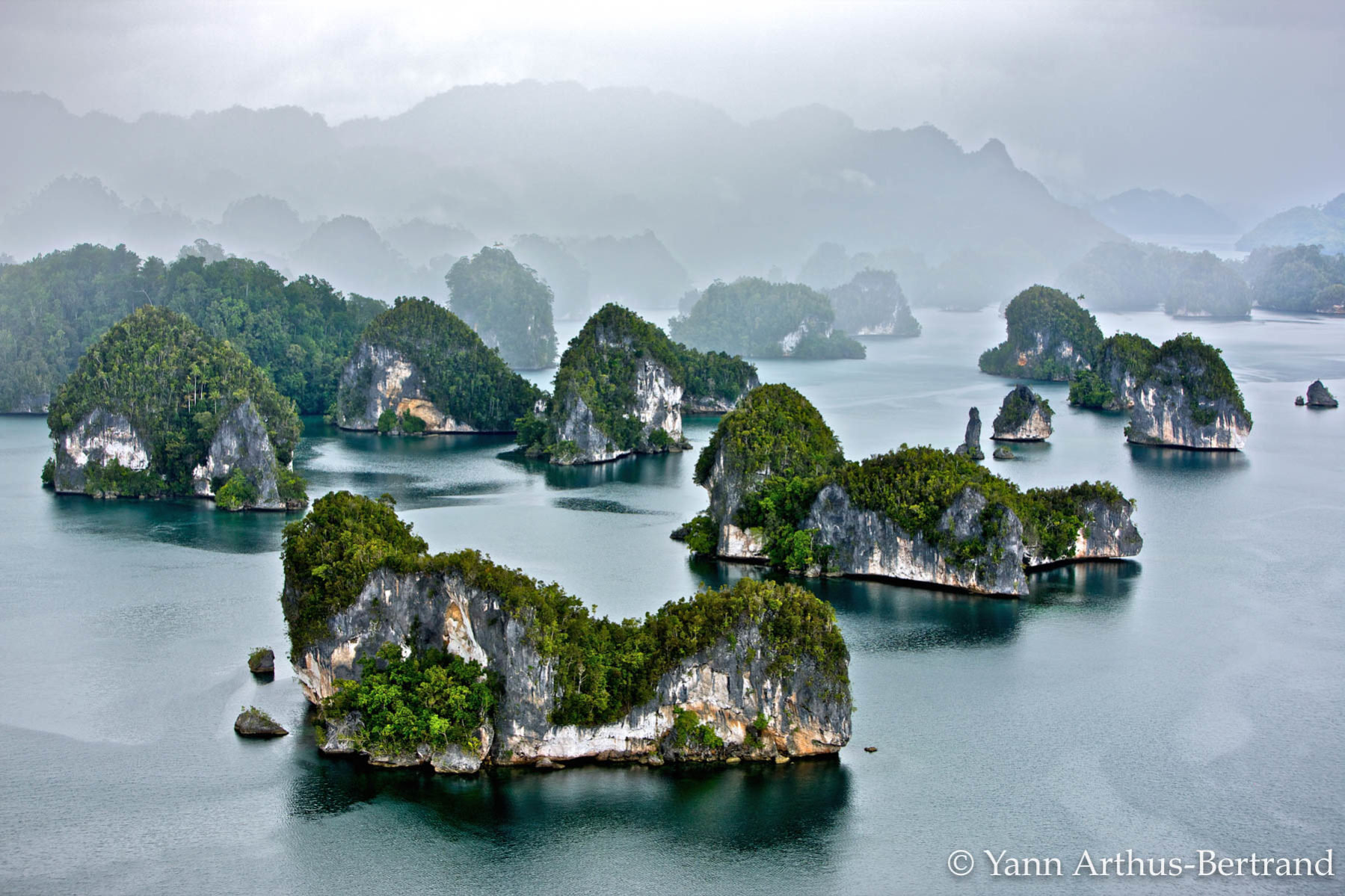 Yann Arthus-Bertrand (2)
