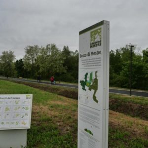 pista ciclabile altinia b