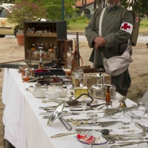 cavallino rievocazione grande guerra b
