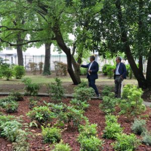 parco villa querini b