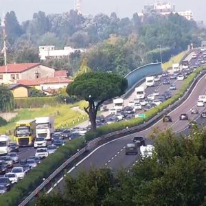 pini autostrada 2