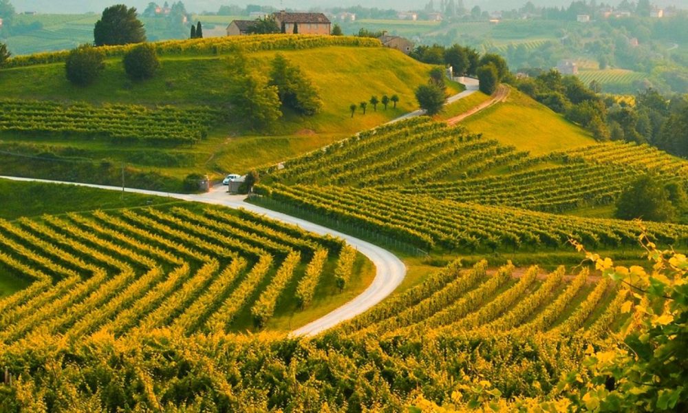 colline del-prosecco-la-strada-valdobbiadene-3