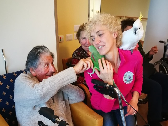 pet therapy pappagalli a
