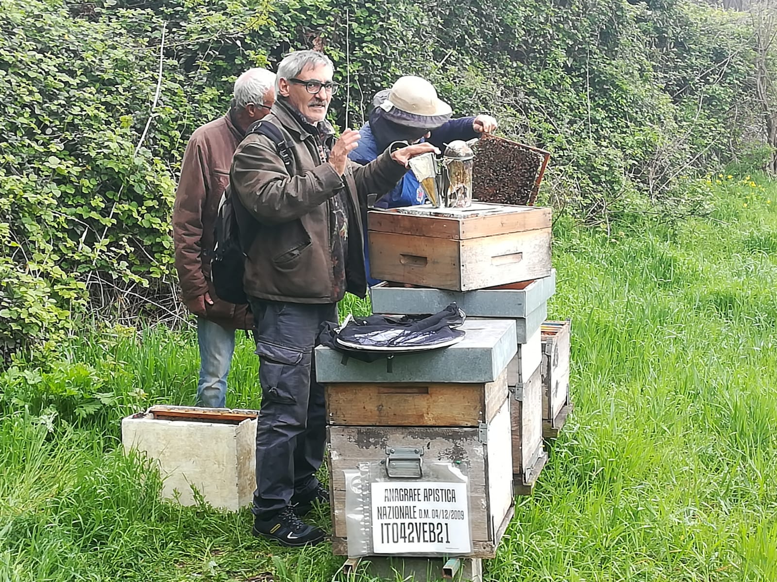 api alveare solidale cita aldo bustaffa