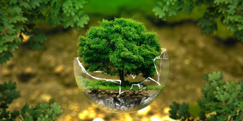 crisi ecologica