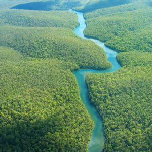 amazzonia biodiversità
