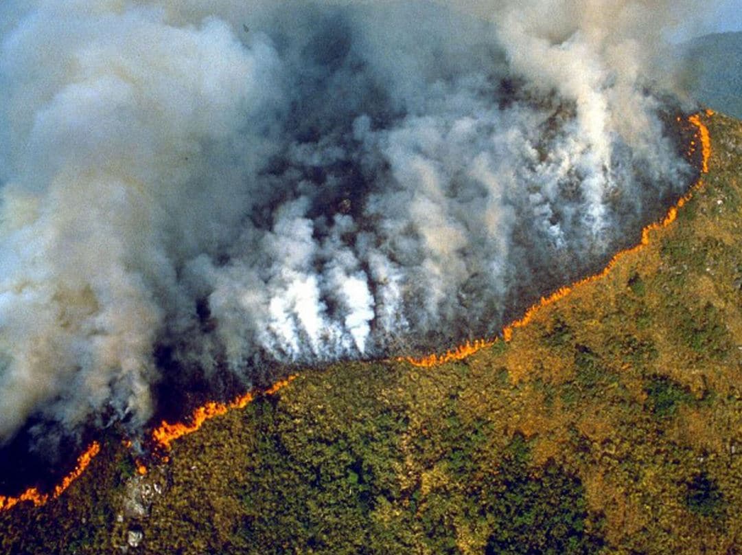 amazzonia incendio