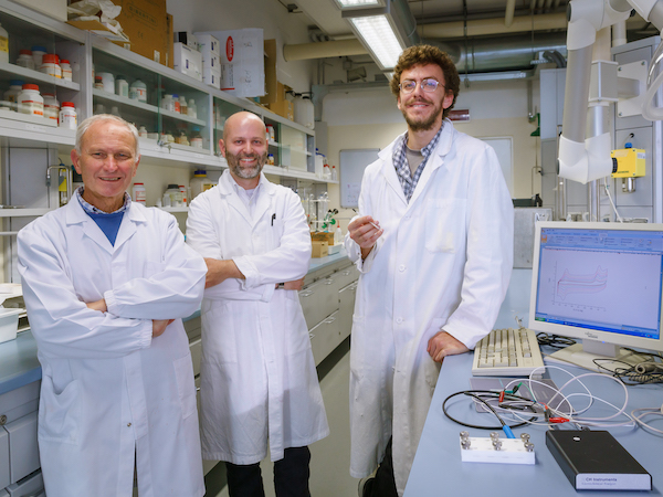 ca' foscari Team del prof Salvatore Daniele