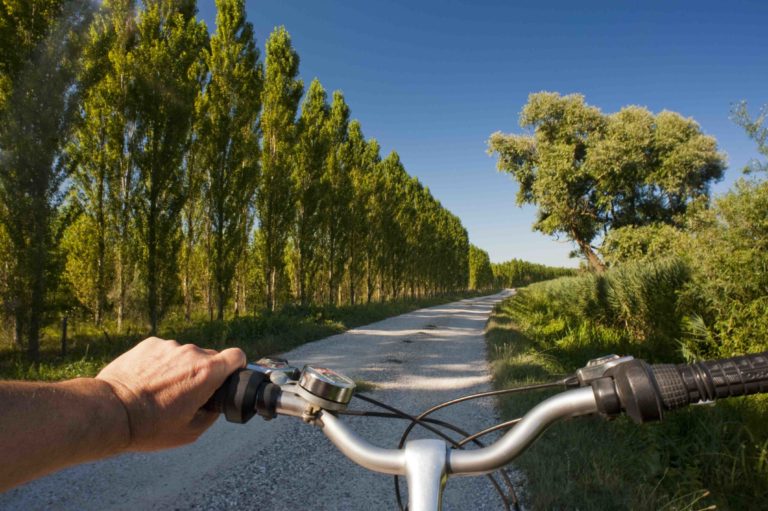 pista ciclabile bici jesolo