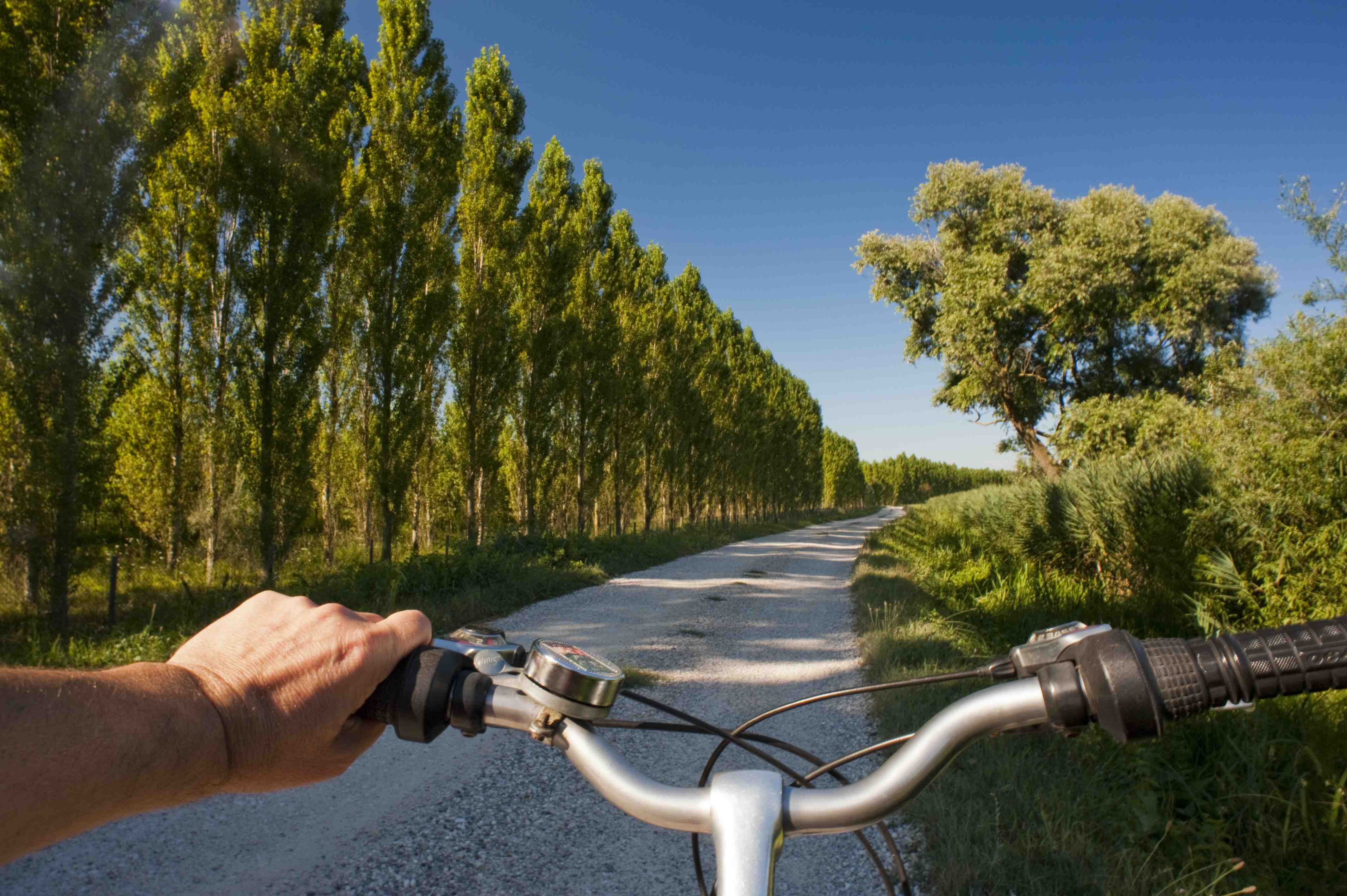 pista ciclabile bici jesolo
