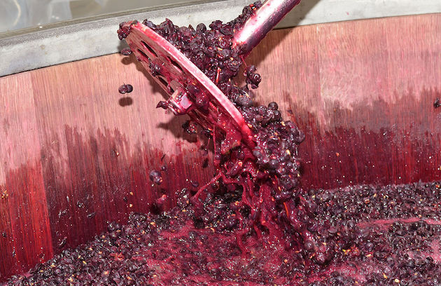 scarti vino