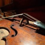 contrabbasso Beethoven Procuratoria a