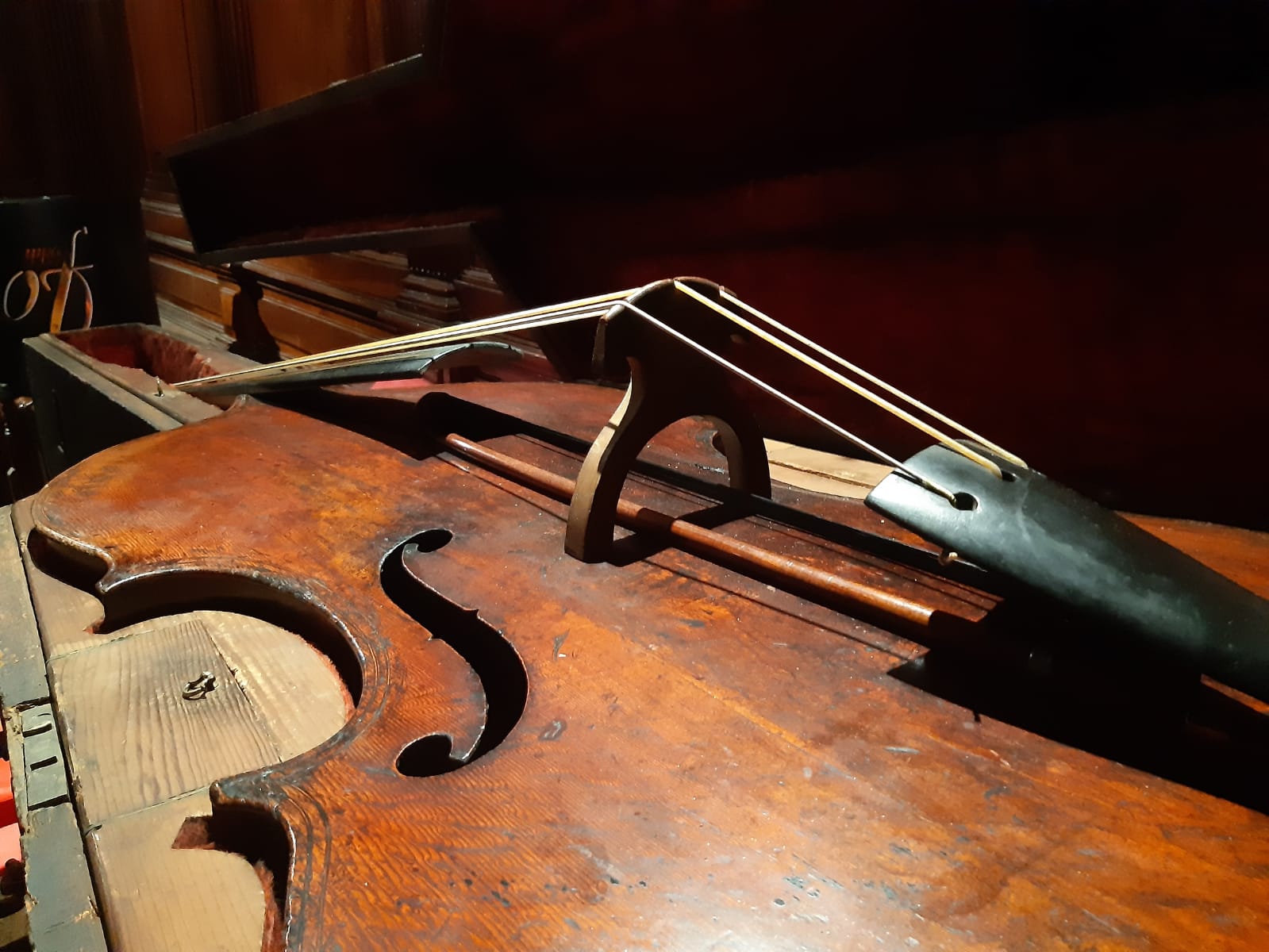 contrabbasso Beethoven Procuratoria a