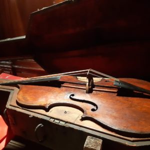 contrabbasso Beethoven Procuratoria b