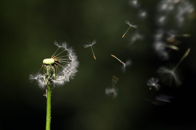 fragile