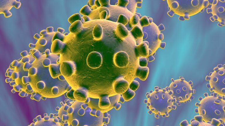 coronavirus ter