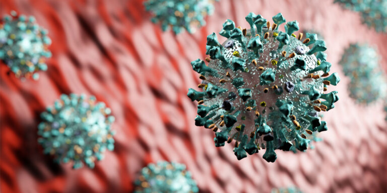 coronavirus quinquies