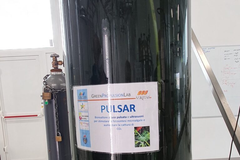gplab microalghe bis