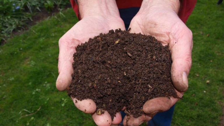 compostaggio