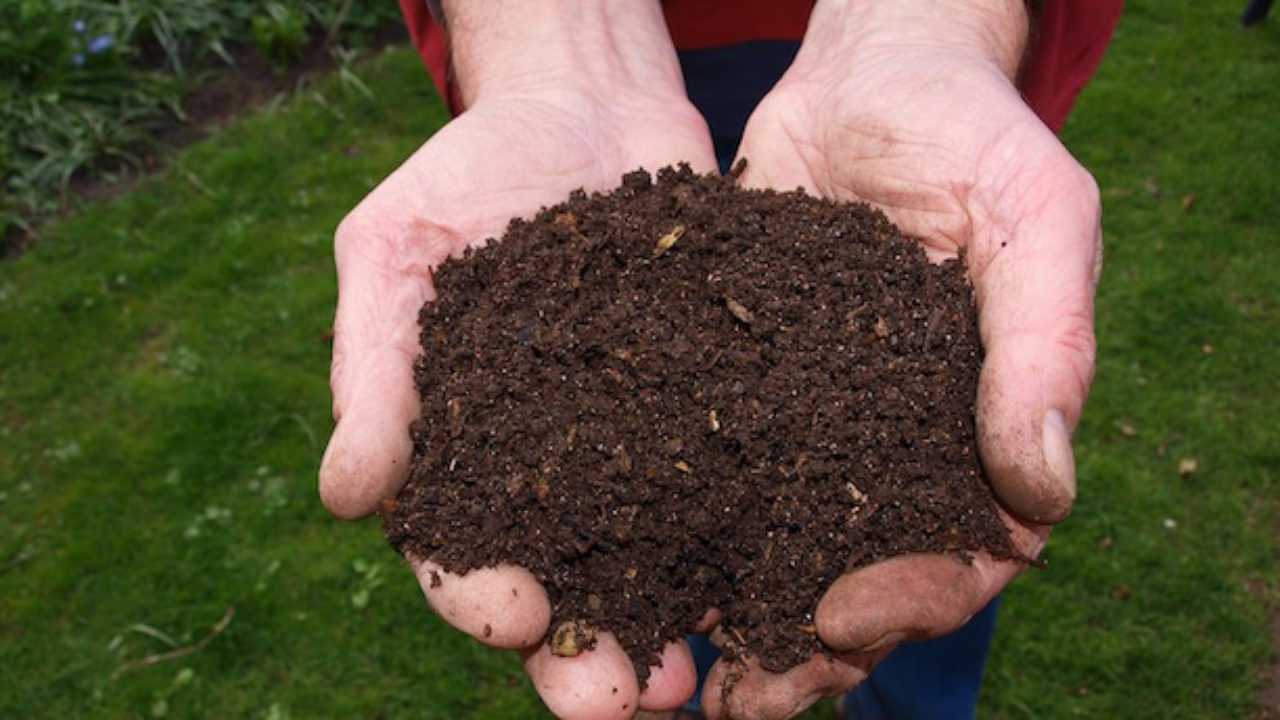 compostaggio