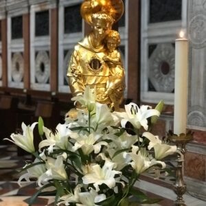 pnone padova