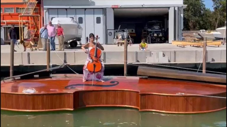 violino di noè 1