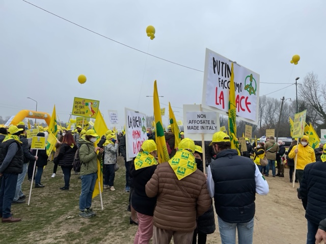 manifestazione