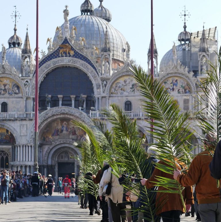 processione palme