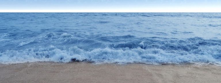 mare