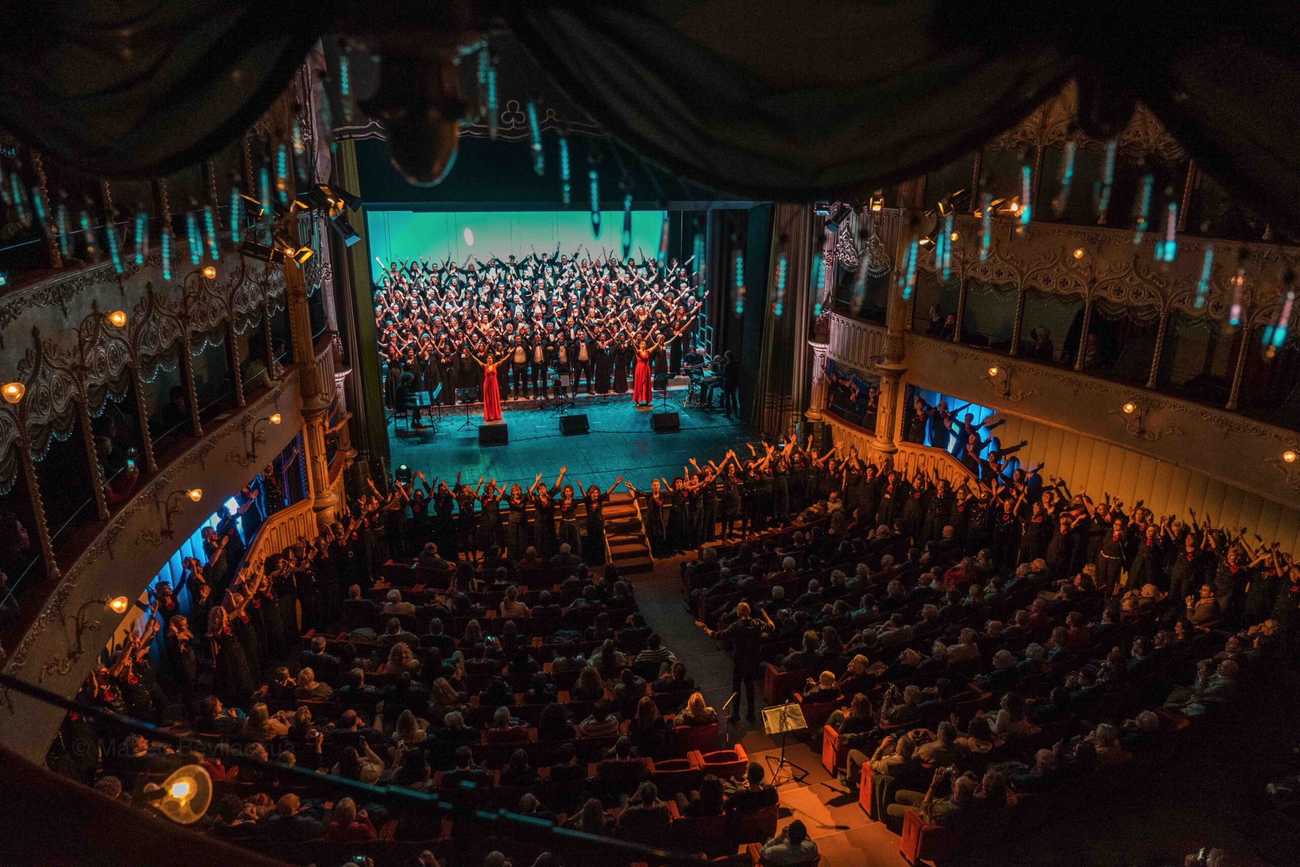 big vocal orchestra goldoni
