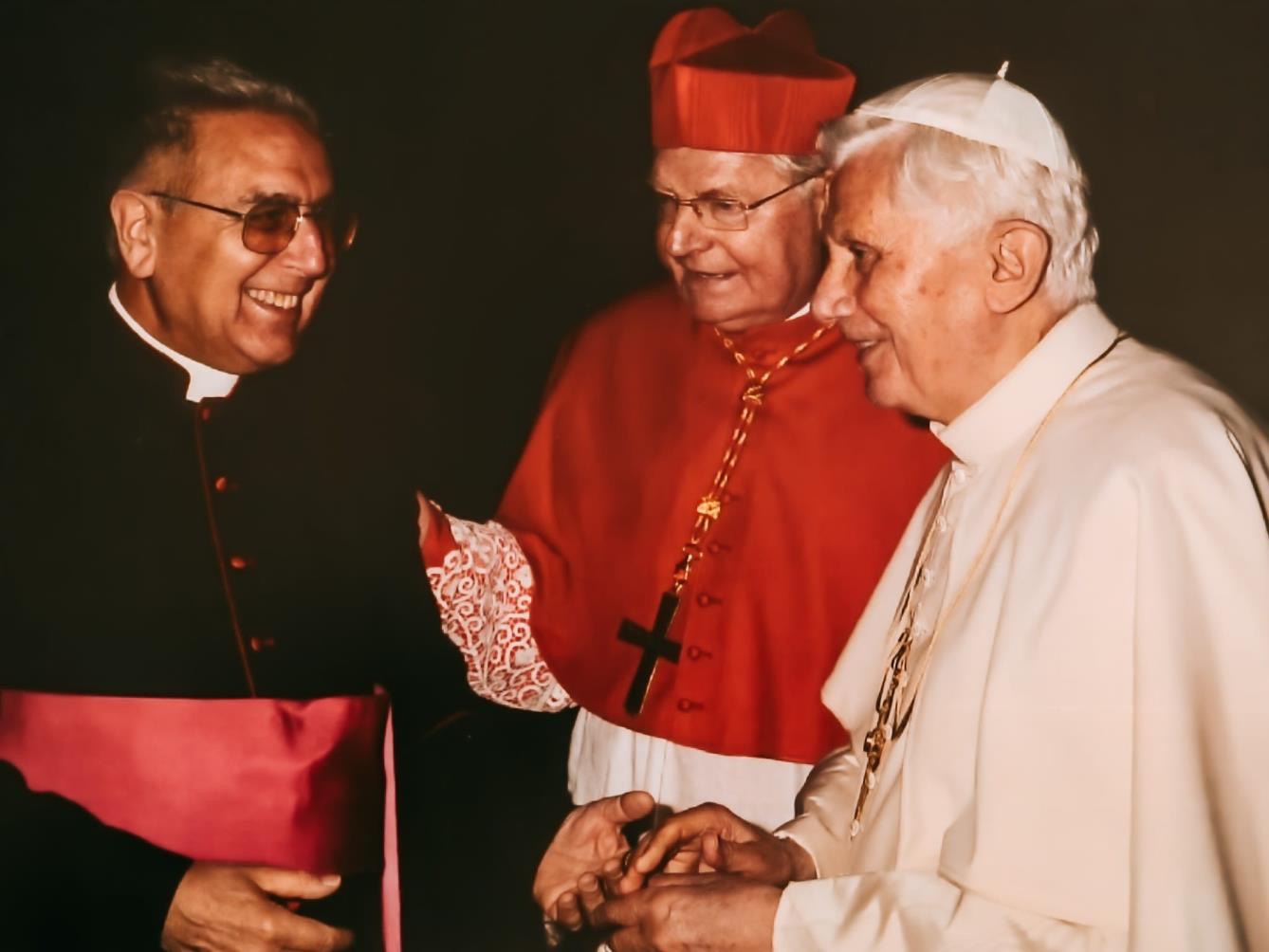 don antonio meneguolo bis