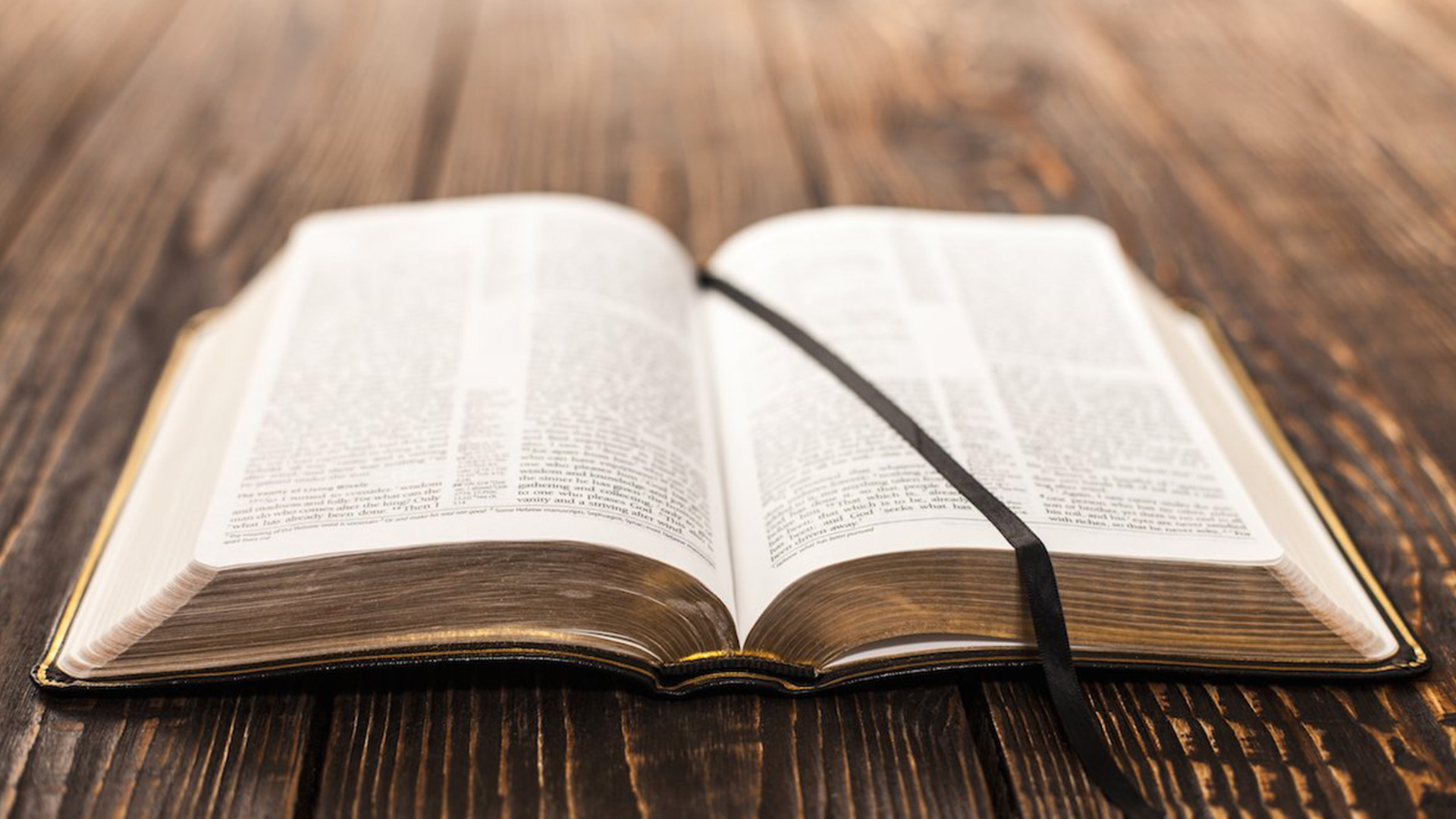 bibbia