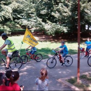 bimbinbici bis