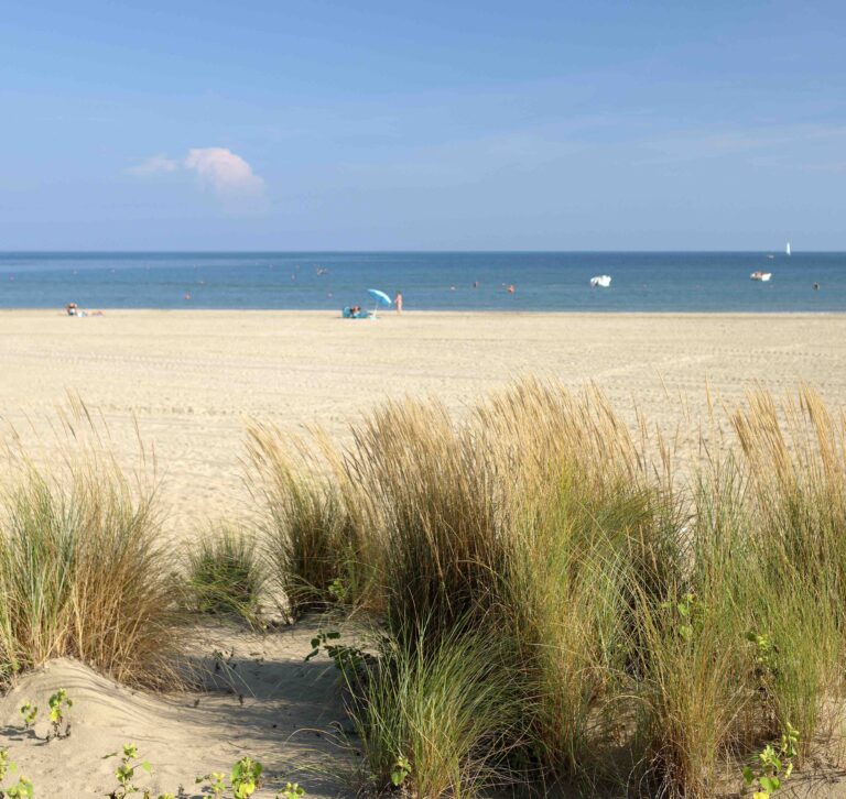 cavallino treporti spiaggia