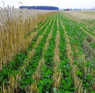econ agricoltura