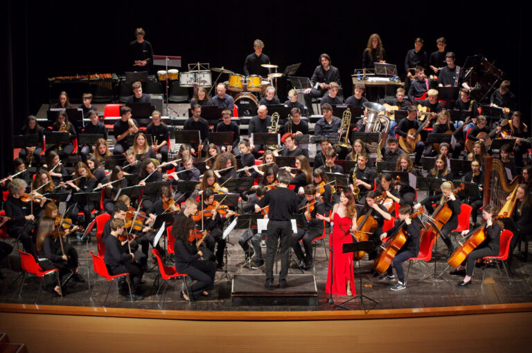 gom giovane orchestra metropolitana