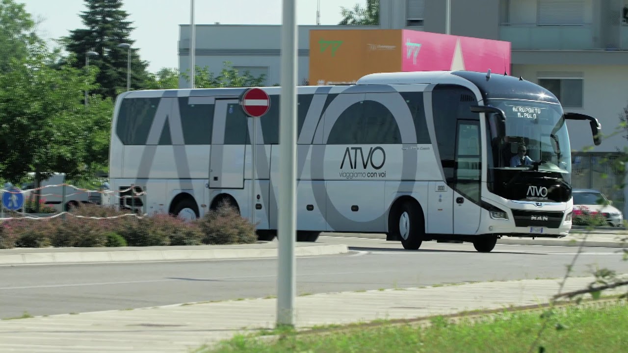 bus