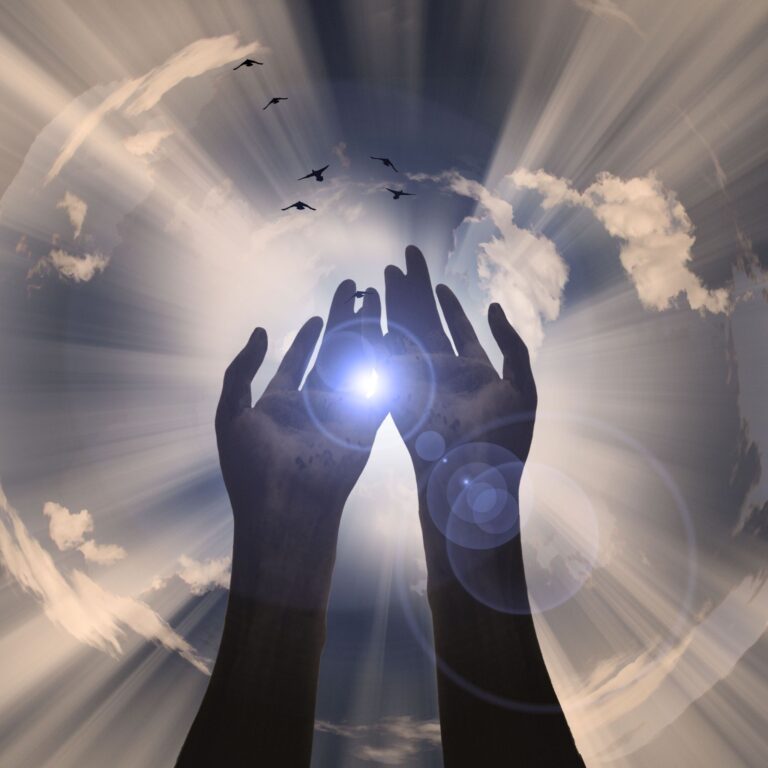 6144267 - hands reveal light
