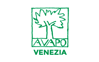 ven1 avapo