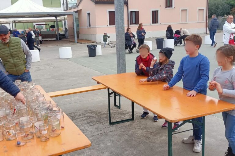 lit1 sanmartino