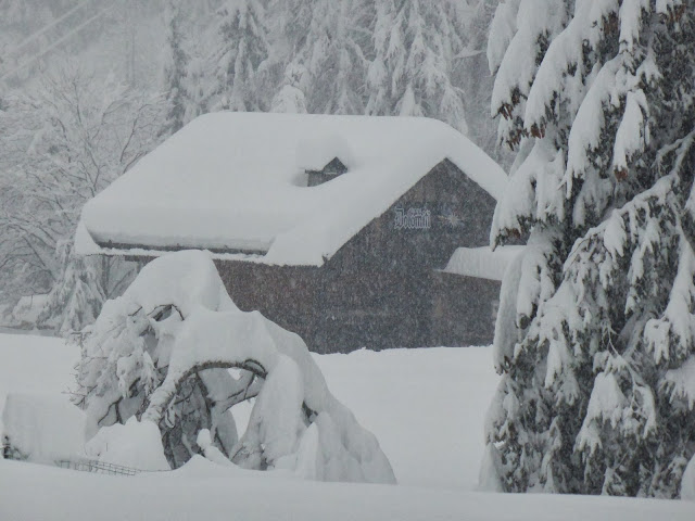neve