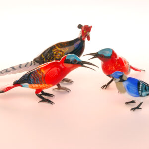 Japanese Pheasant, Bee eaters, Blue Jay